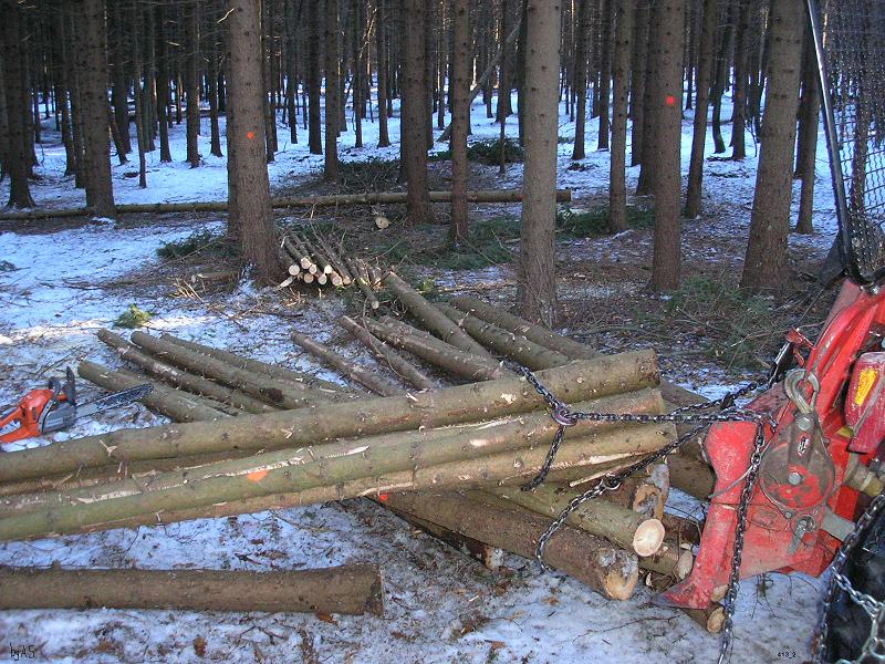 Durchforstung_413_P2060001_2.JPG