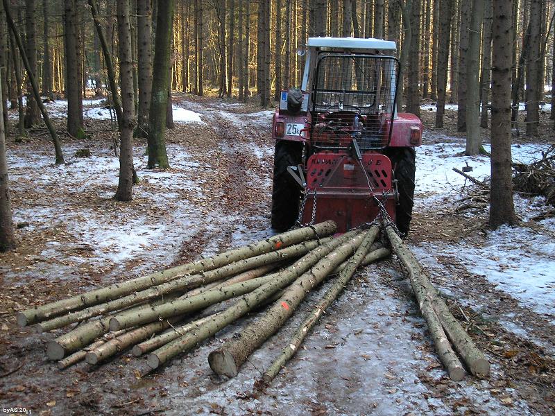 Durchforstungsholz_413_P2180027_2.JPG