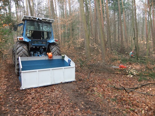 Waldarbeit und Landschaft Jan-Feb2011 022.JPG