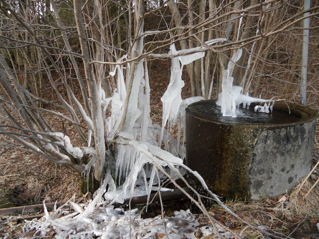 Feldbrunnen1.jpg