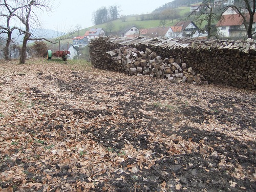 Waldarbeit und Landschaft Jan-Feb2011 014.JPG