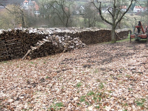 Waldarbeit und Landschaft Jan-Feb2011 015.JPG