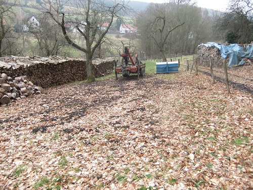 Waldarbeit und Landschaft Jan-Feb2011 016.JPG