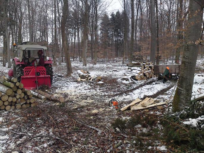 Kopie von DSC00229.JPG