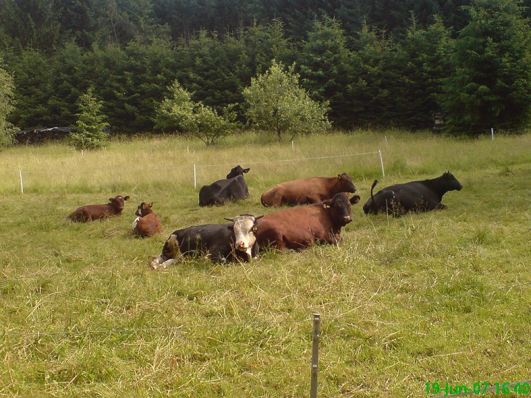 DSC00710.JPG