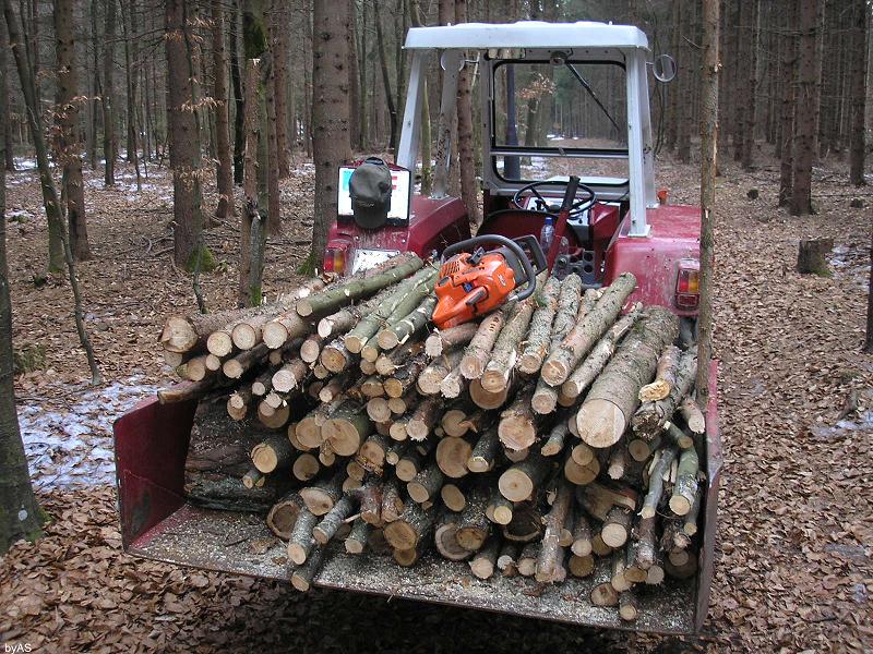 Brennholz_für_Eigenbedarf_P3030037_2.JPG