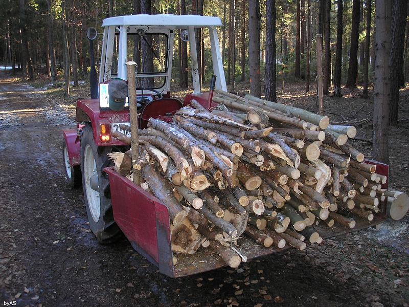 Brennholz_P3060043_2.JPG