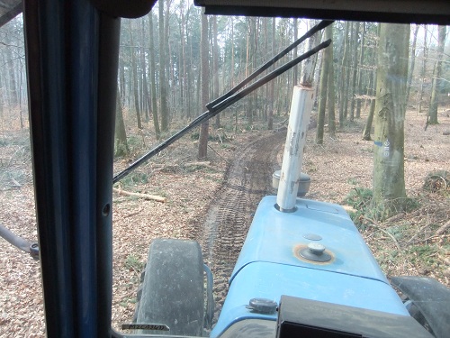 Waldarbeit und Werkzeug 2011 029.JPG