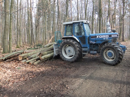 Waldarbeit und Werkzeug 2011 028.JPG