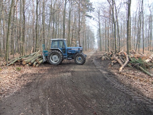 Waldarbeit und Werkzeug 2011 027.JPG