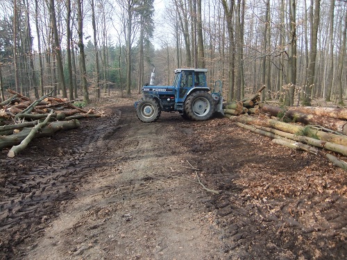Waldarbeit und Werkzeug 2011 026.JPG