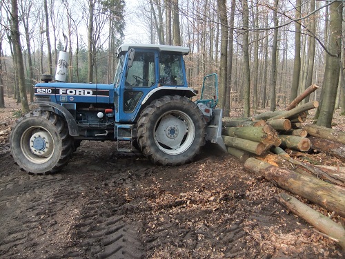 Waldarbeit und Werkzeug 2011 025.JPG