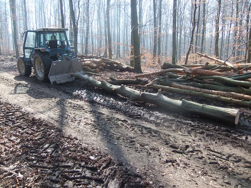 Waldarbeit und Werkzeug 2011 024.JPG