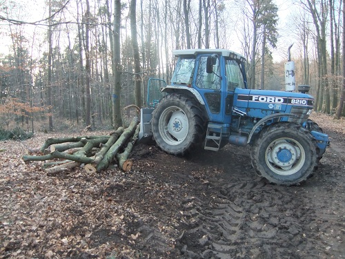 Waldarbeit und Werkzeug 2011 022.JPG