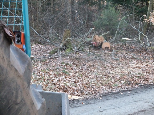 Waldarbeit und Werkzeug 2011 017.JPG