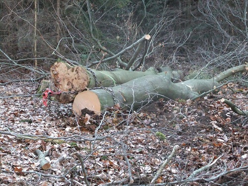 Waldarbeit und Werkzeug 2011 016.JPG