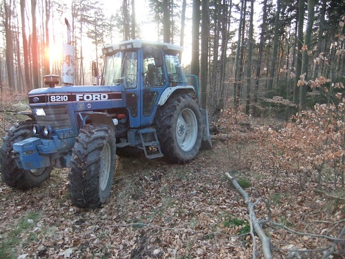 Waldarbeit und Werkzeug 2011 014.JPG