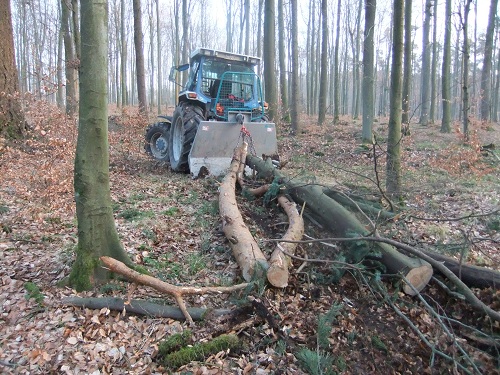 Waldarbeit und Werkzeug 2011 013.JPG