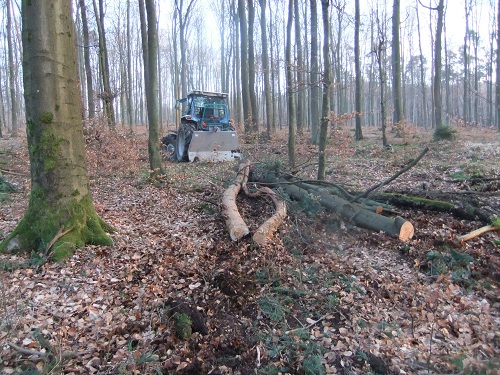 Waldarbeit und Werkzeug 2011 012.JPG