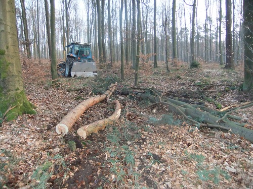 Waldarbeit und Werkzeug 2011 011.JPG
