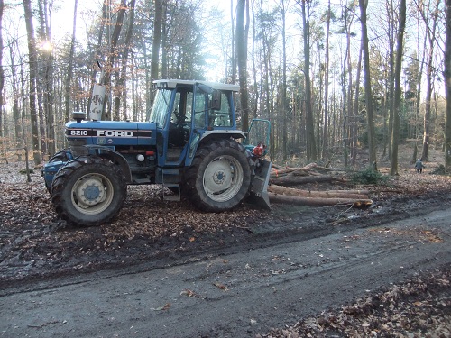 Waldarbeit und Werkzeug 2011 009.JPG