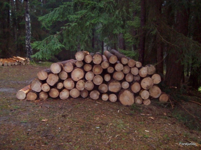 Schneebruch 2 001.JPG