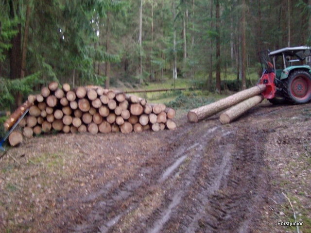 Schneebruch 2 003.JPG