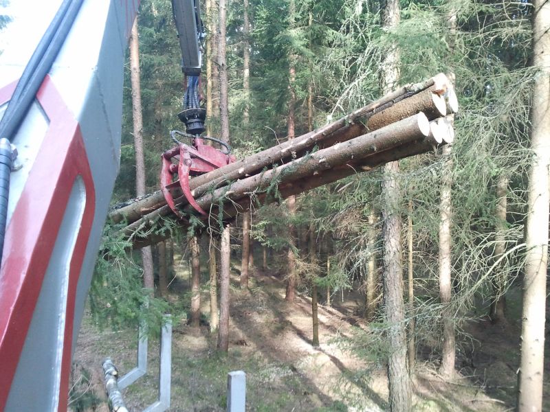 2011-03-12 09.50.26.jpg