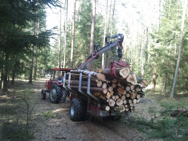 2011-03-12 12.16.34.jpg