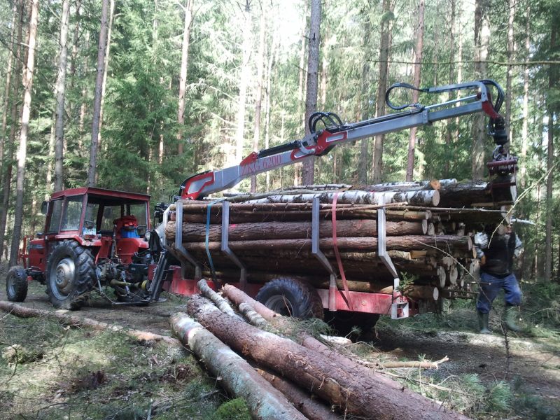 2011-03-12 12.35.47.jpg