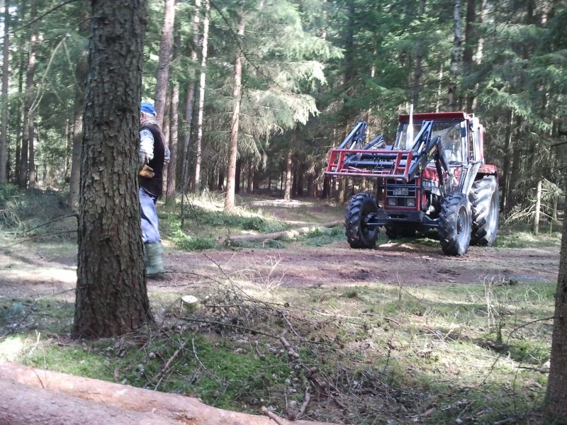 2011-03-12 12.35.52.jpg