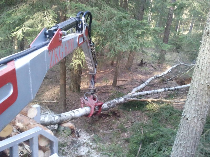 2011-03-12 15.51.34.jpg