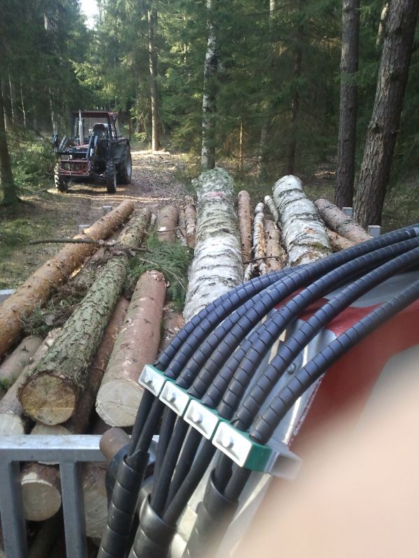 2011-03-12 15.51.47.jpg