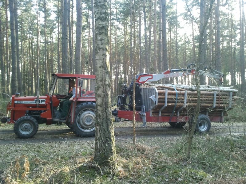 2011-03-12 16.20.51.jpg