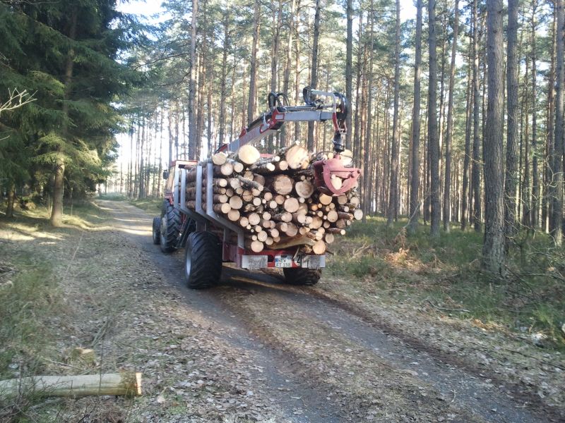 2011-03-12 16.21.11.jpg