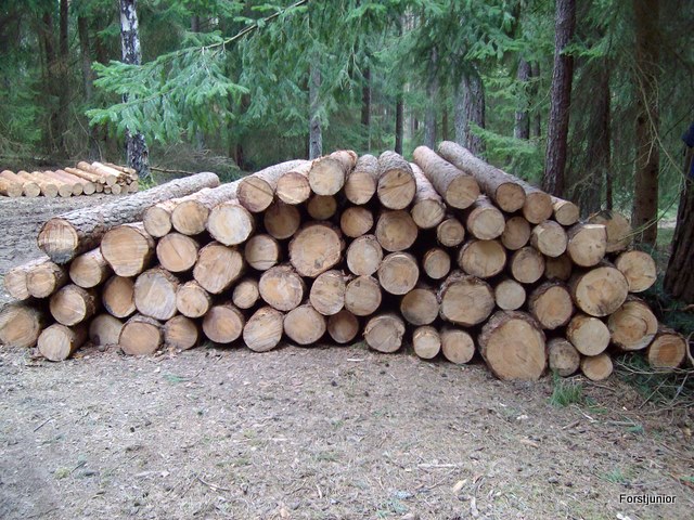 Schneebruch2011 002.JPG