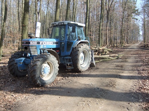 Rücken und Abtransport 2011 016.JPG