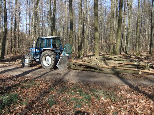 Rücken und Abtransport 2011 015.JPG