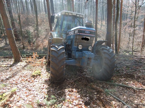 Rücken und Abtransport 2011 007.JPG