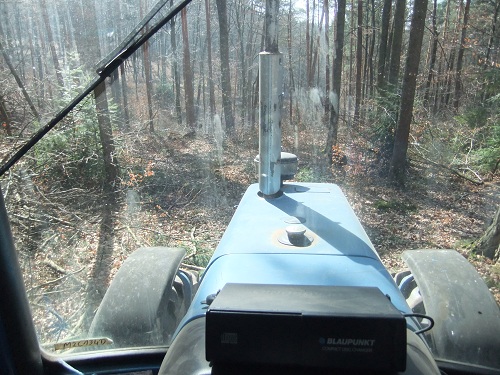 Rücken und Abtransport 2011 014.JPG