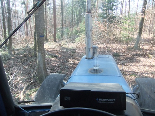 Rücken und Abtransport 2011 013.JPG