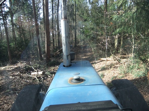 Rücken und Abtransport 2011 011.JPG