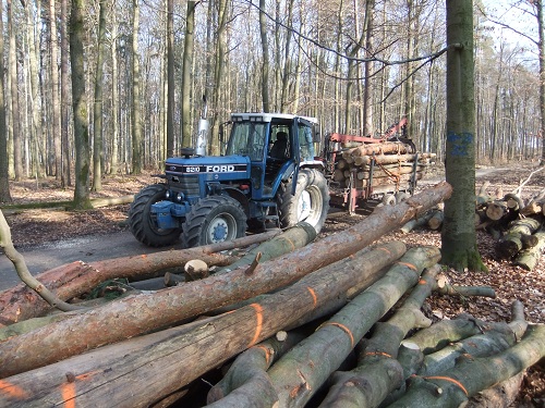 Rücken und Abtransport 2011 262.JPG