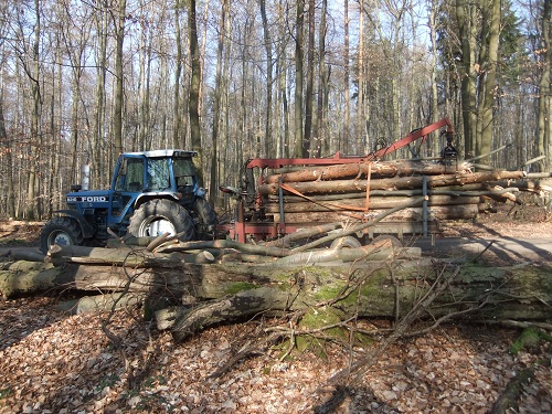 Rücken und Abtransport 2011 261.JPG