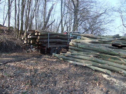 Rücken und Abtransport 2011 257.JPG