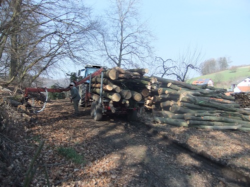 Rücken und Abtransport 2011 255.JPG