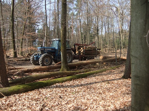 Rücken und Abtransport 2011 253.JPG