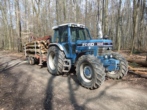 Rücken und Abtransport 2011 252.JPG