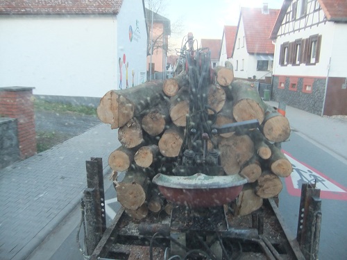 Rücken und Abtransport 2011 251.JPG