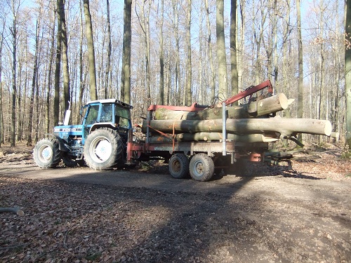 Rücken und Abtransport 2011 249.JPG